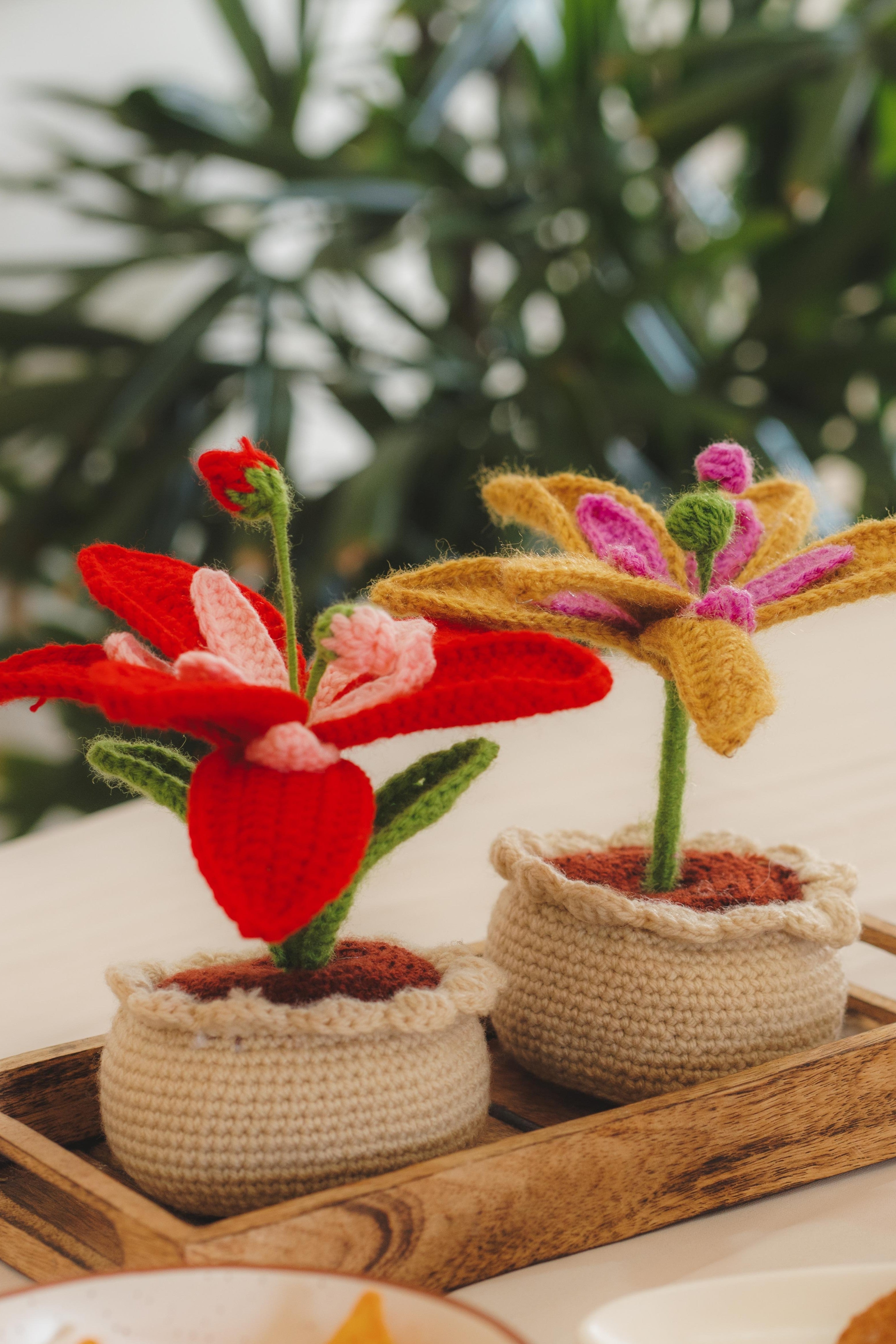 'Starbloom' Crochet Lily Pot