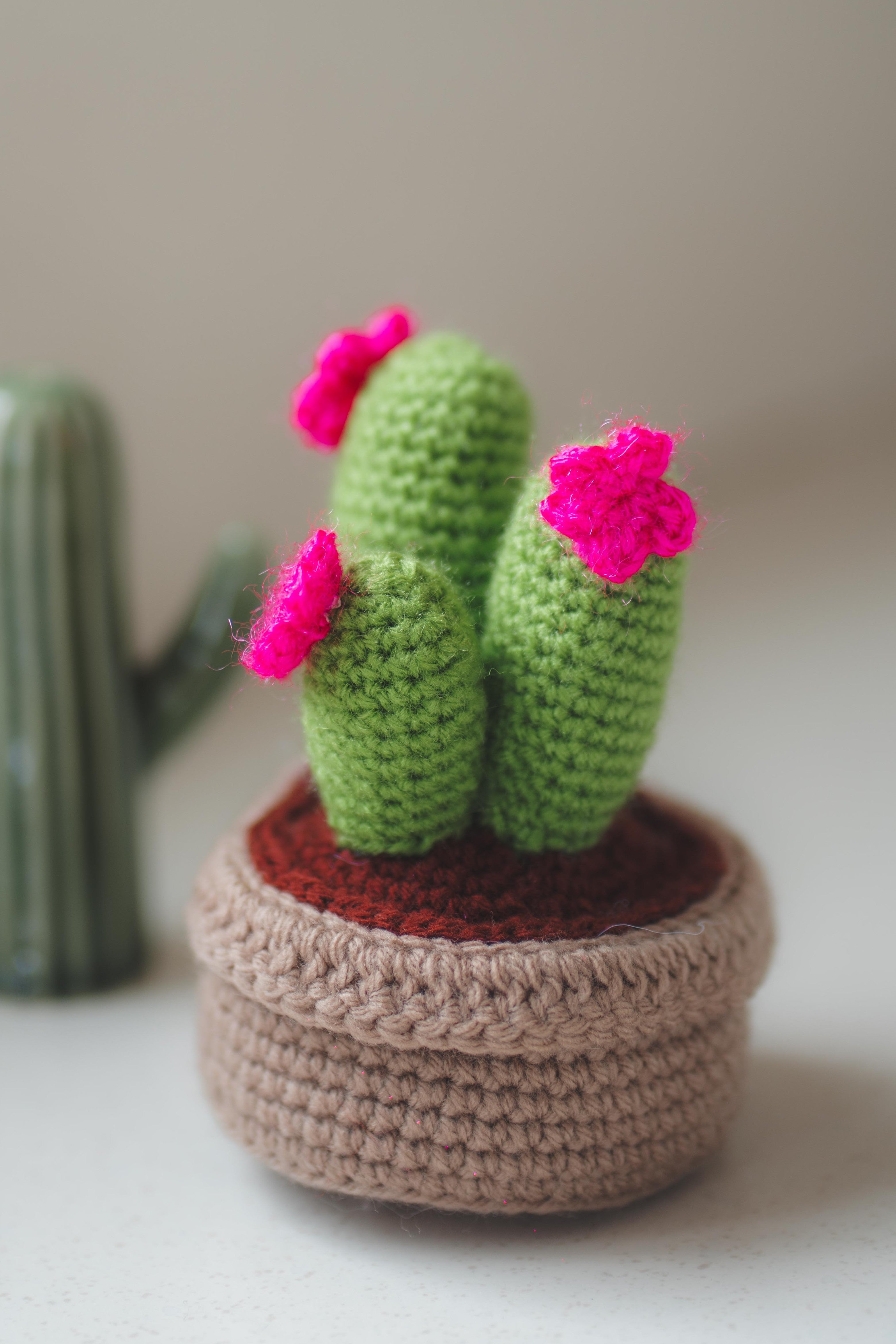 'Desert Blossom' Crochet Cactus Pot
