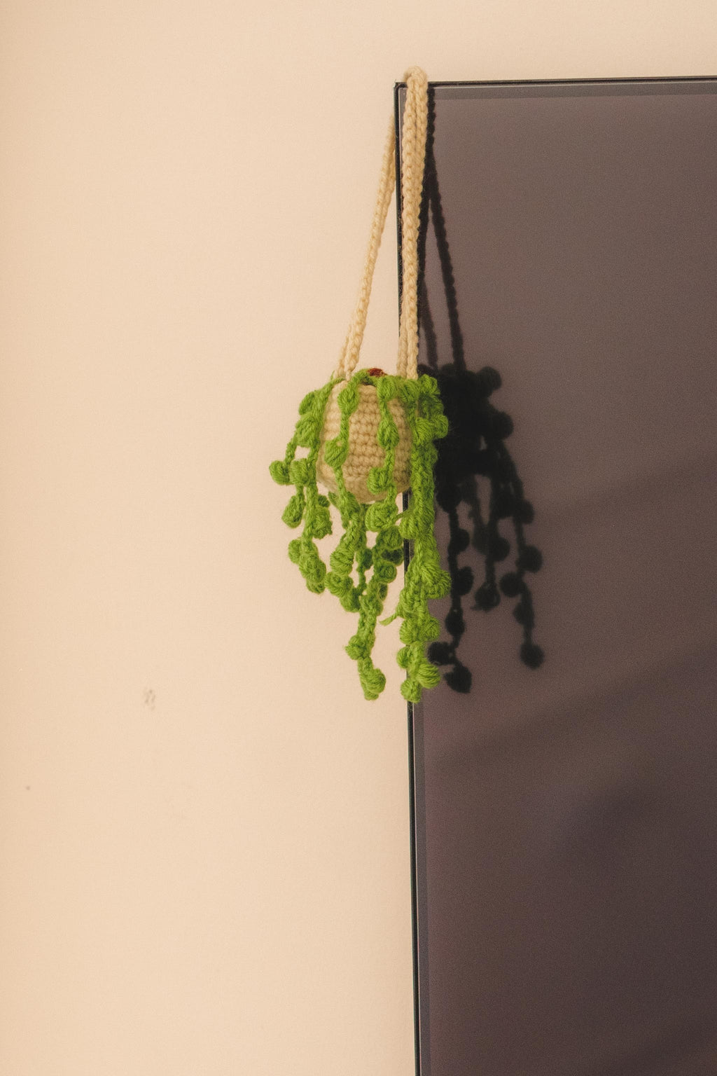 'Trailing Pearl' Hanging Plant Charm