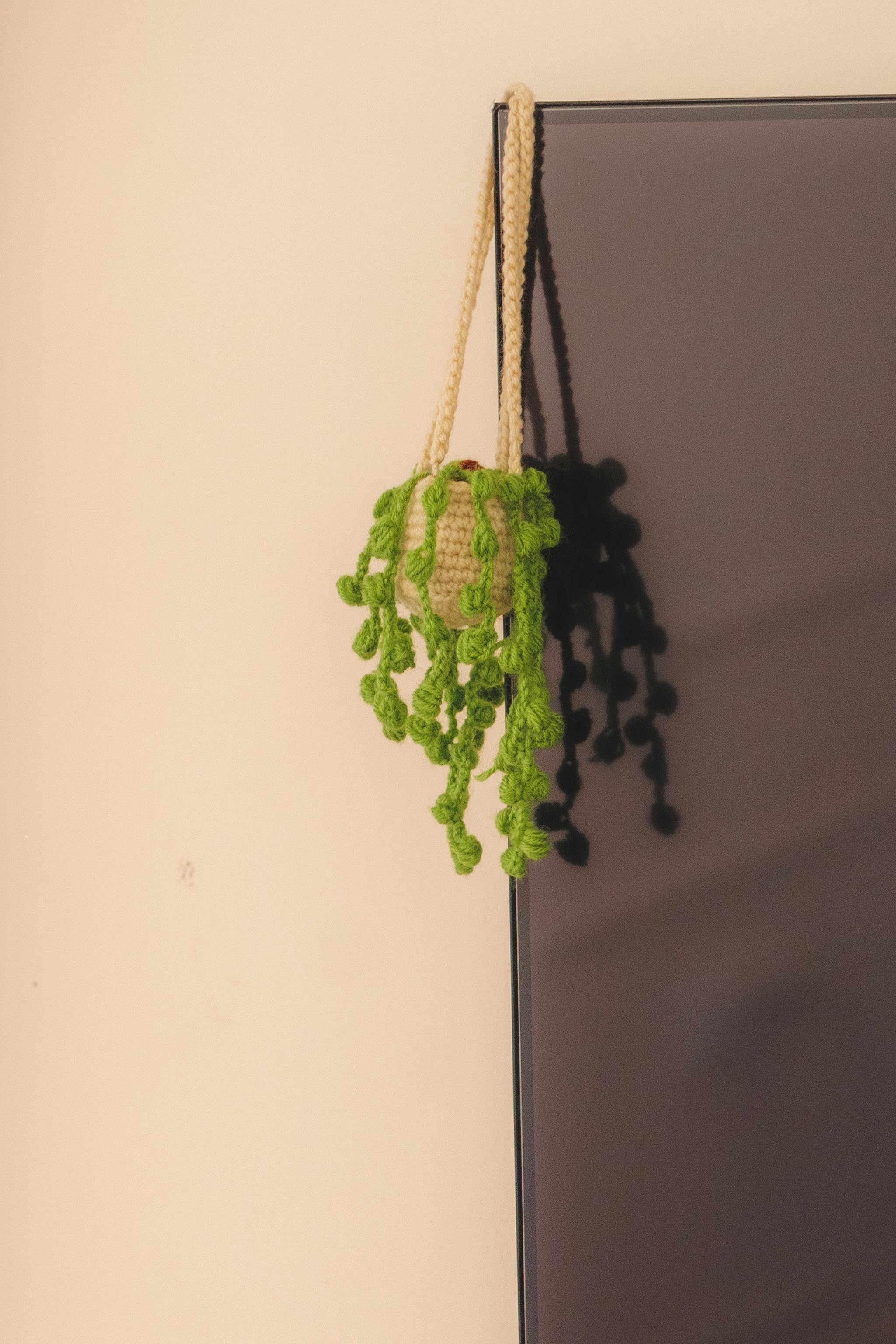'Trailing Pearl' Hanging Plant Charm