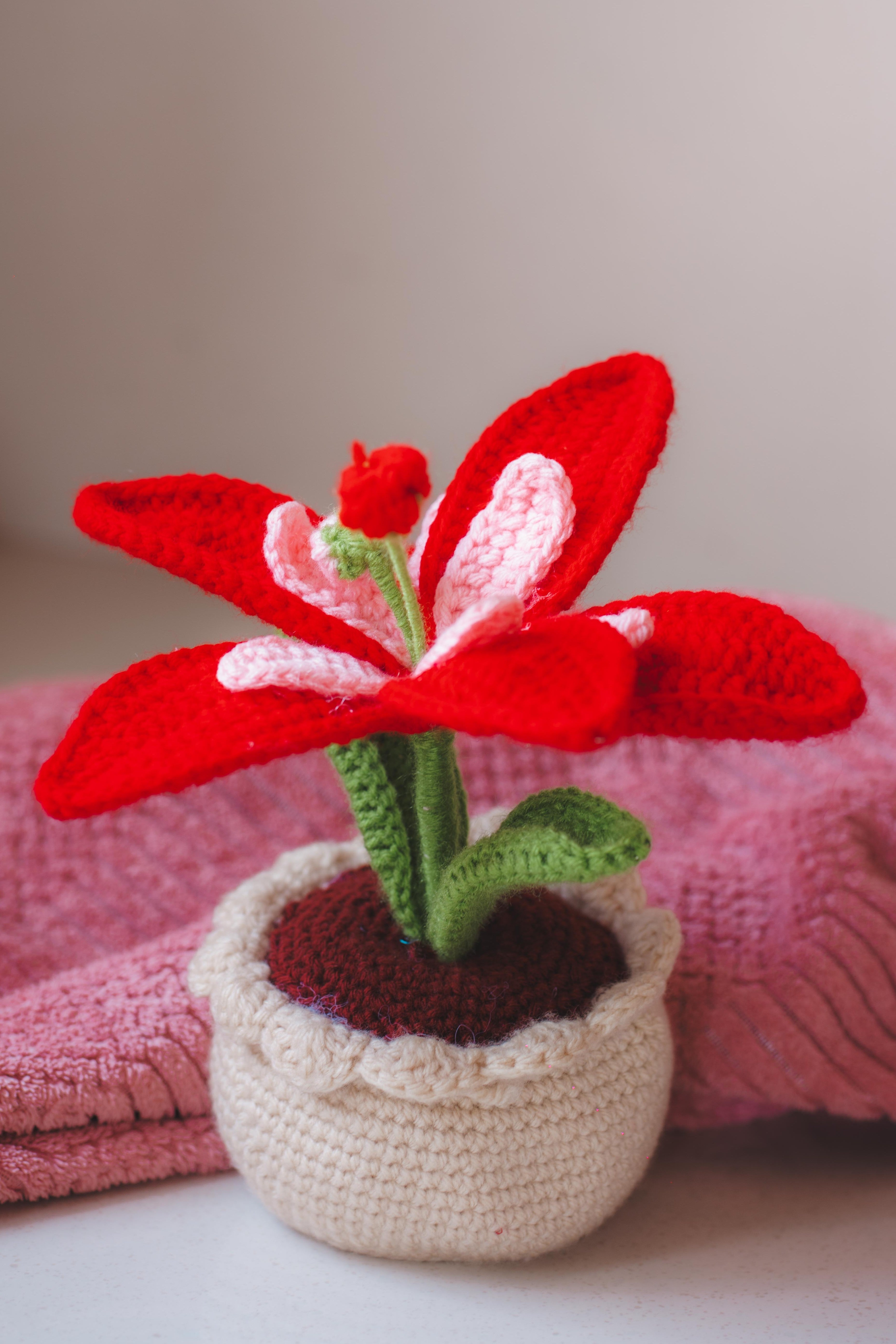 'Starbloom' Crochet Lily Pot