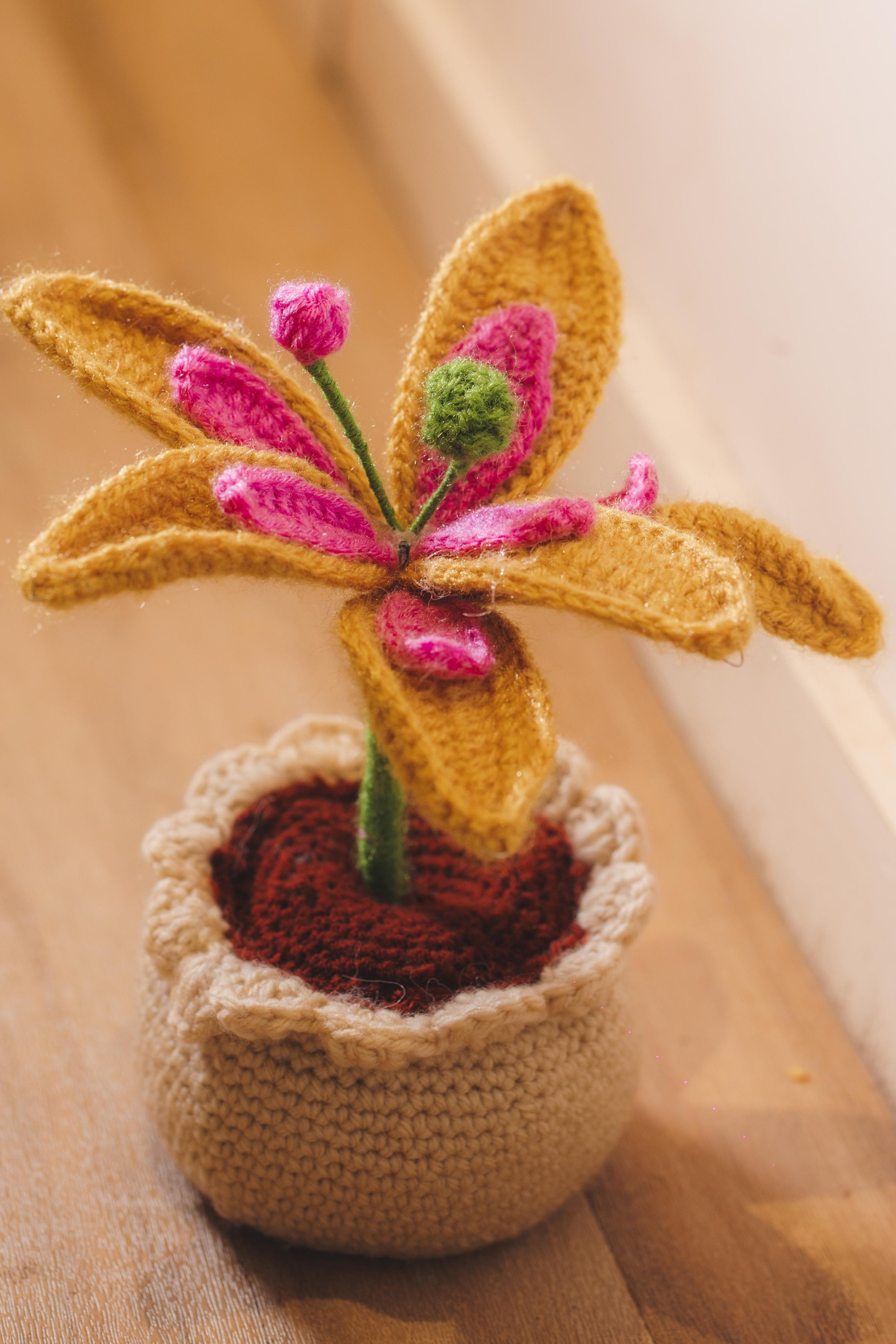 'Starbloom' Crochet Lily Pot