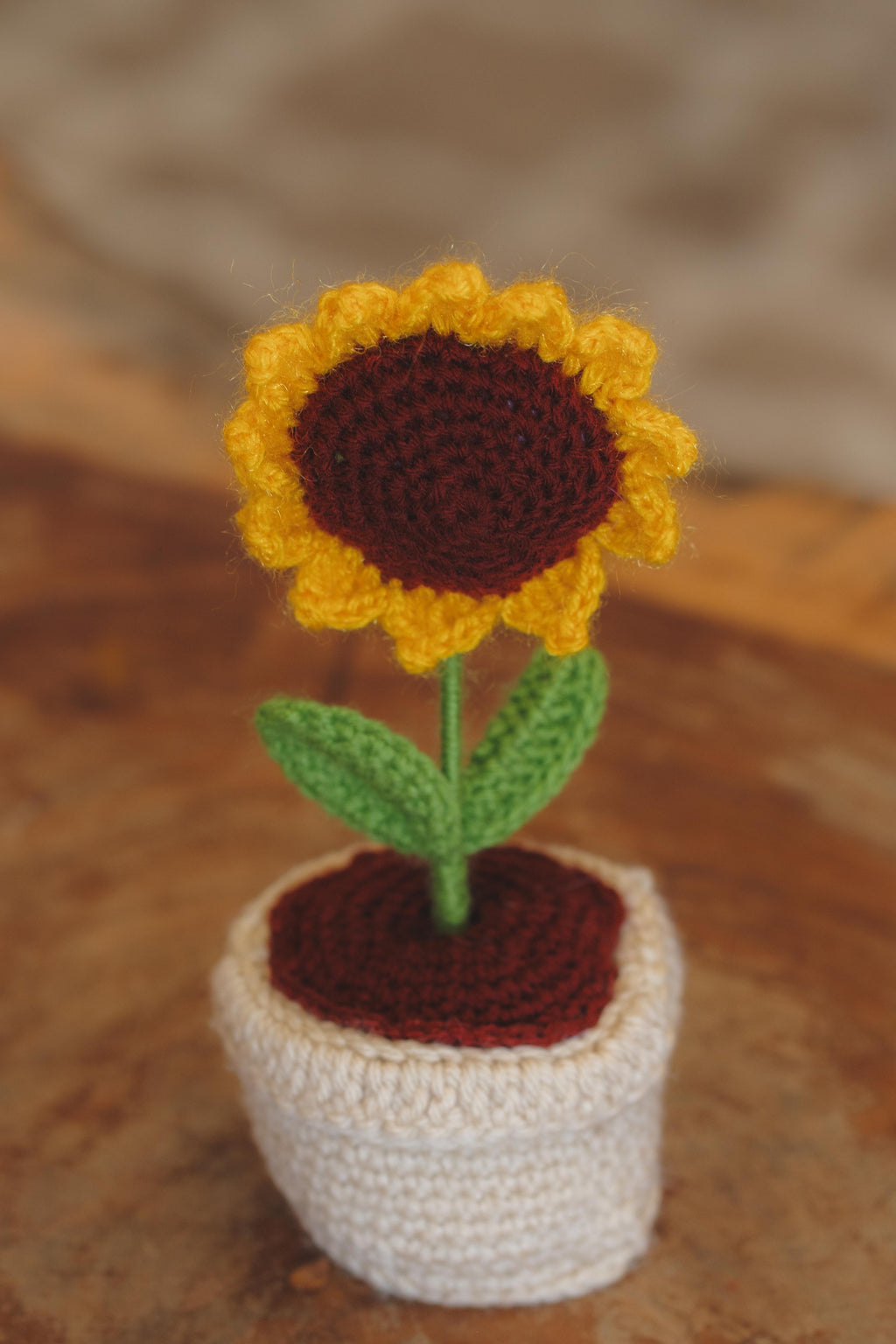 'Golden Hour' Sunflower Pot