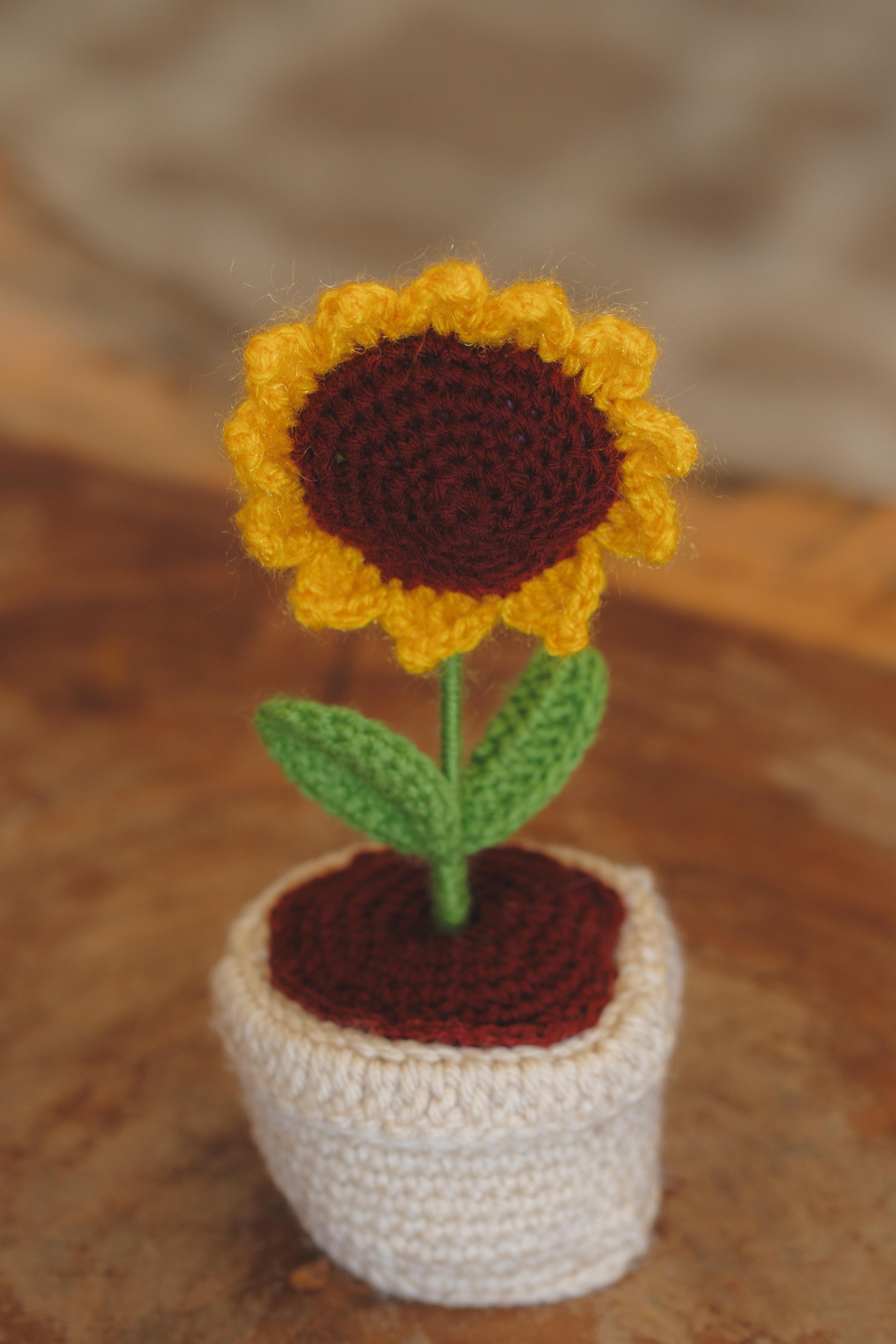 'Golden Hour' Sunflower Pot