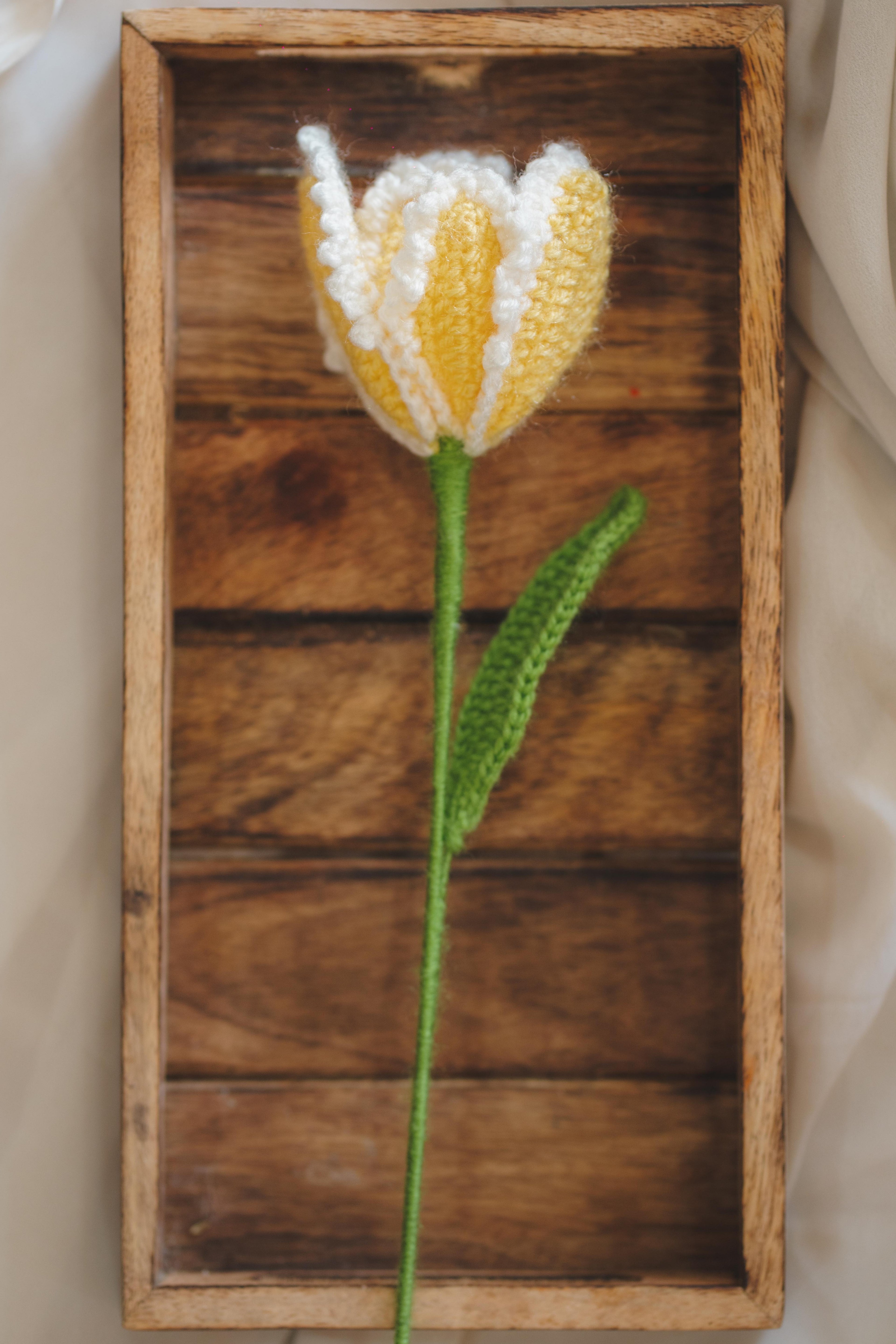 'Full Bloom' Open Tulip Stem