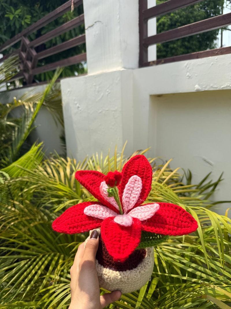'Starbloom' Crochet Lily Pot