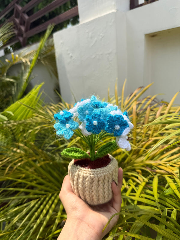 'Cloud Bloom' Crochet Hydrangea Pot