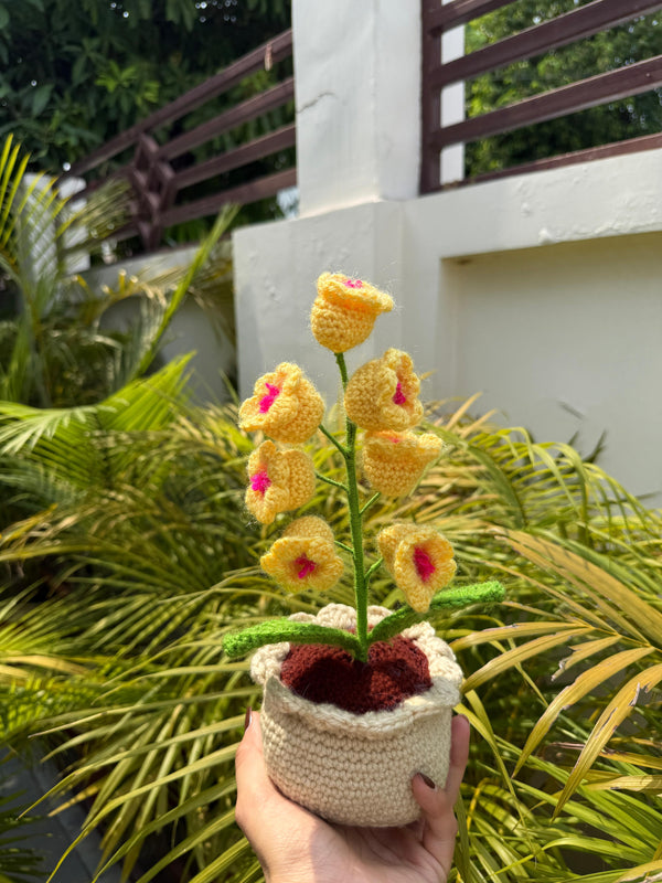 'Garden Spire' Crochet Foxglove Pot