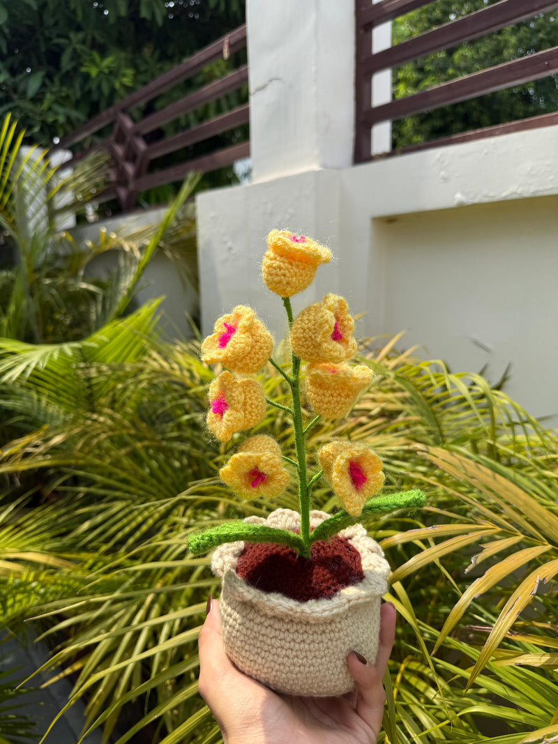 'Garden Spire' Crochet Foxglove Pot