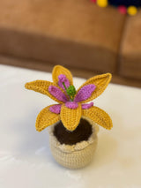 'Starbloom' Crochet Lily Pot