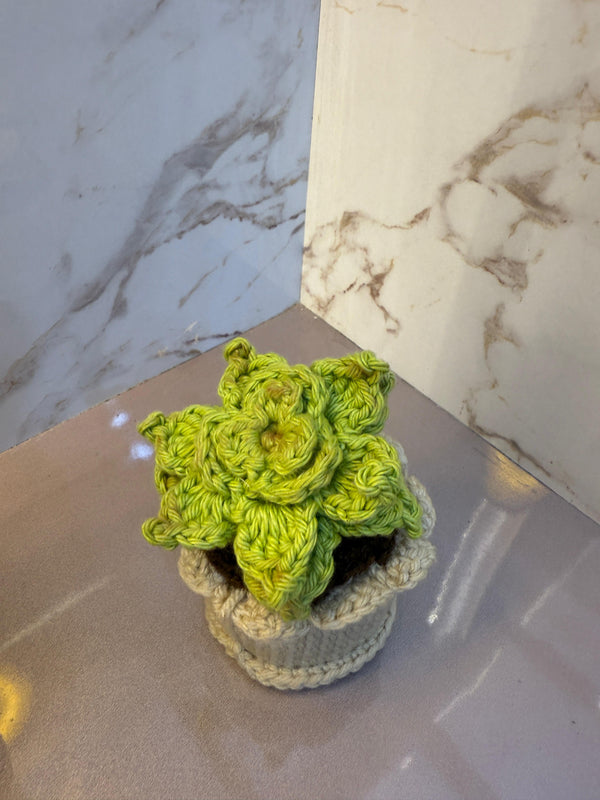 'Evergreen' Crochet Succulent Pot