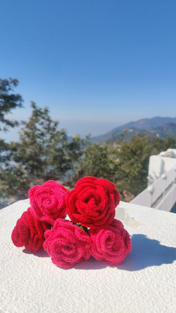 'Crimson Charm' Crochet Rose Stem