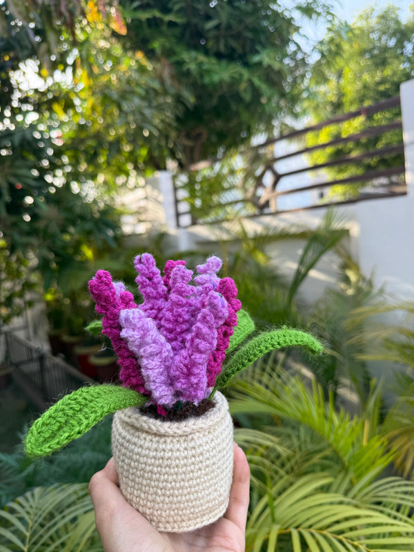 'Serene' Crochet Lavender Pot