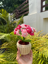 'Cloud Bloom' Crochet Hydrangea Pot