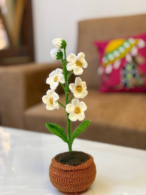 'Daybreak' Crochet Daisy Pot
