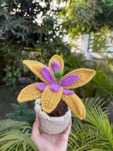 'Starbloom' Crochet Lily Pot