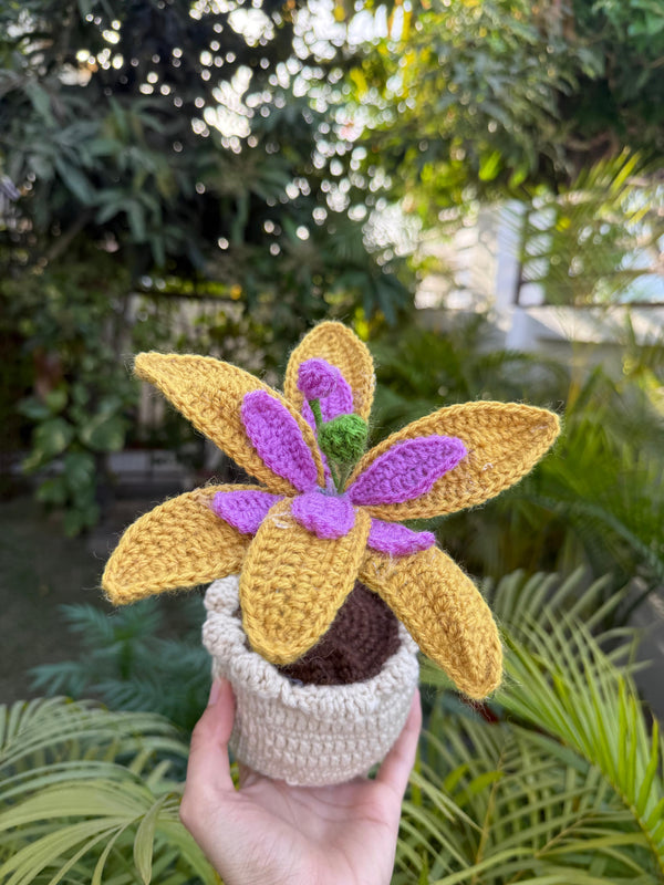 'Starbloom' Crochet Lily Pot