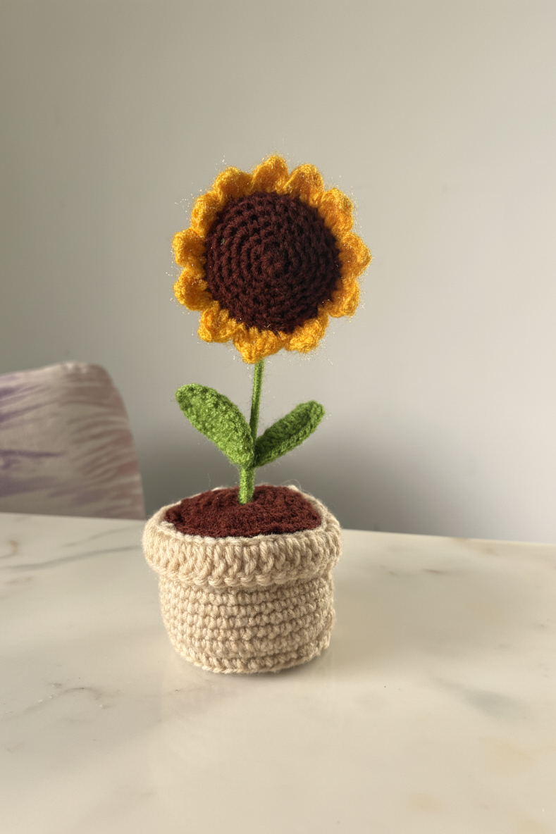 'Golden Hour' Sunflower Pot